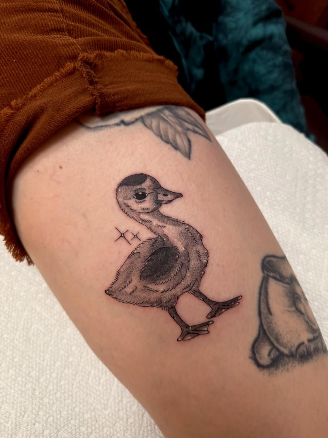 30 Duck Tattoo Ideas: From Playful Mallards to Fine-Line Flight Motifs