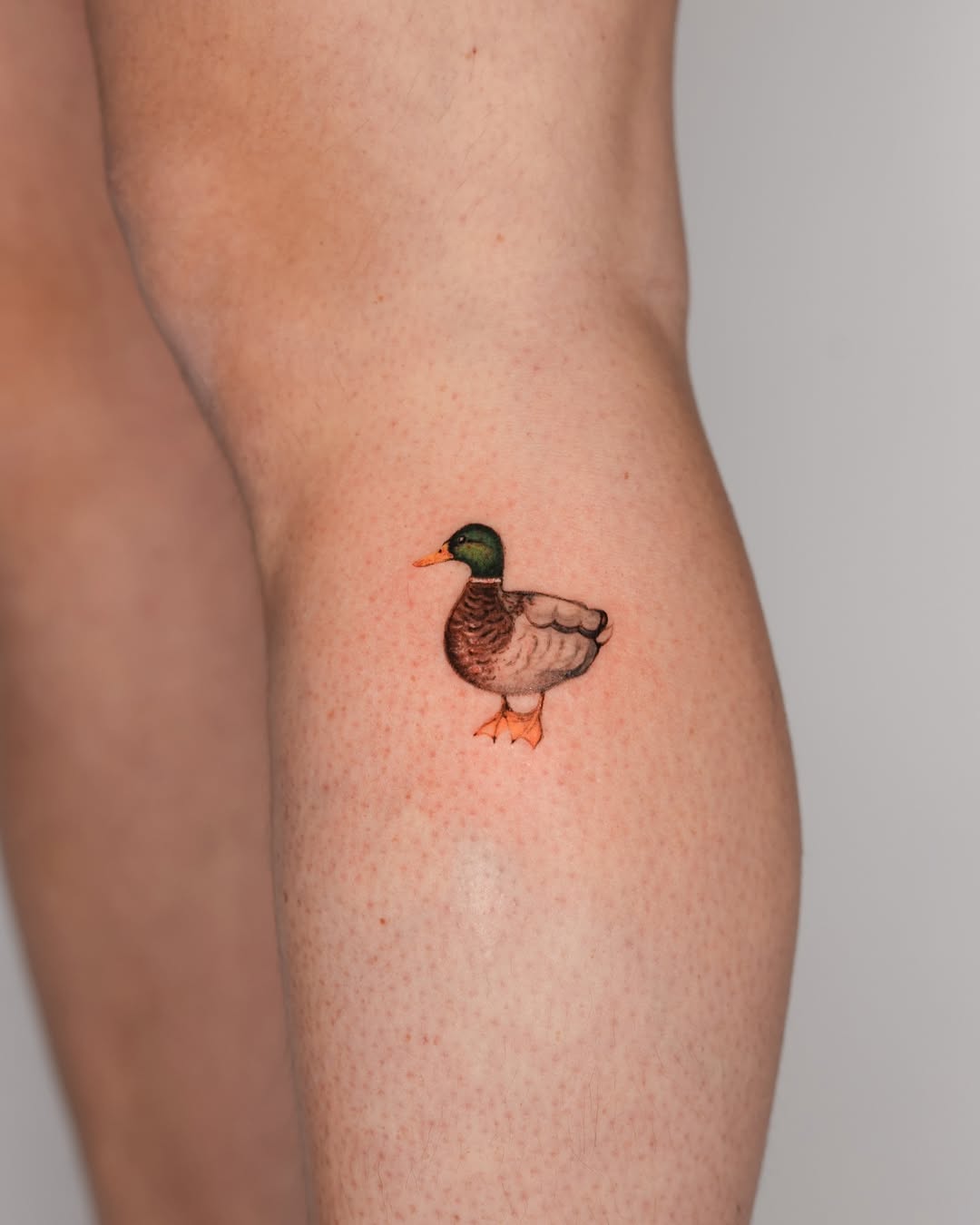 30 Duck Tattoo Ideas: From Playful Mallards to Fine-Line Flight Motifs