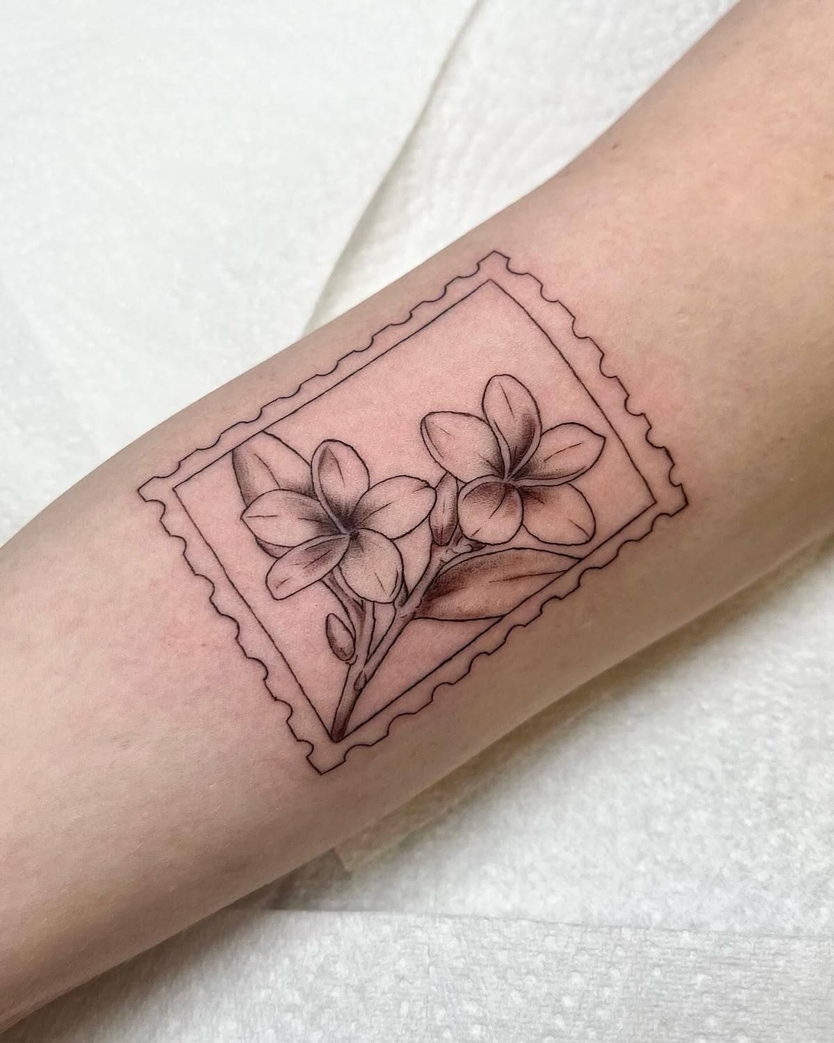 29 Plumeria Tattoo Ideas: From Tiny Florals to Bold Hawaiian Statements