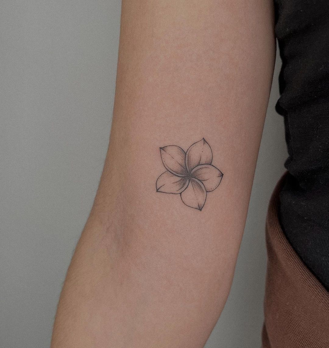 29 Plumeria Tattoo Ideas: From Tiny Florals to Bold Hawaiian Statements