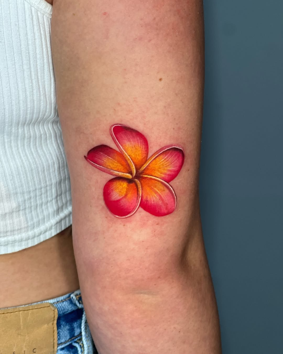 29 Plumeria Tattoo Ideas: From Tiny Florals to Bold Hawaiian Statements