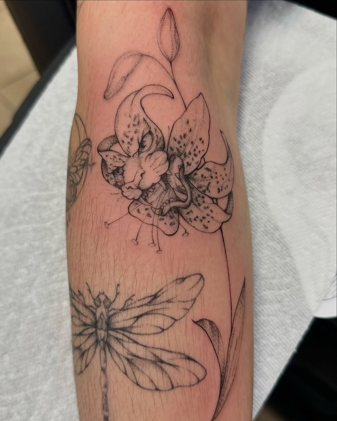 30 Tiger Lily Tattoo Ideas: Bold, Feminine, and Unforgettable Designs