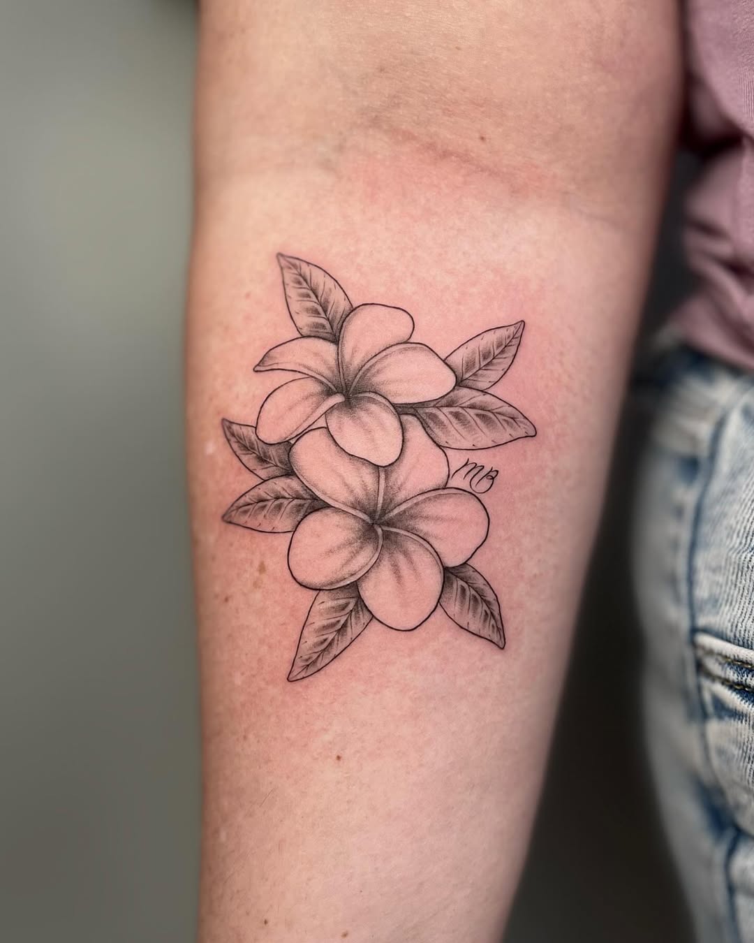29 Plumeria Tattoo Ideas: From Tiny Florals to Bold Hawaiian Statements