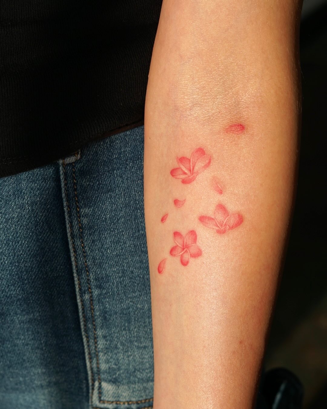 29 Plumeria Tattoo Ideas: From Tiny Florals to Bold Hawaiian Statements