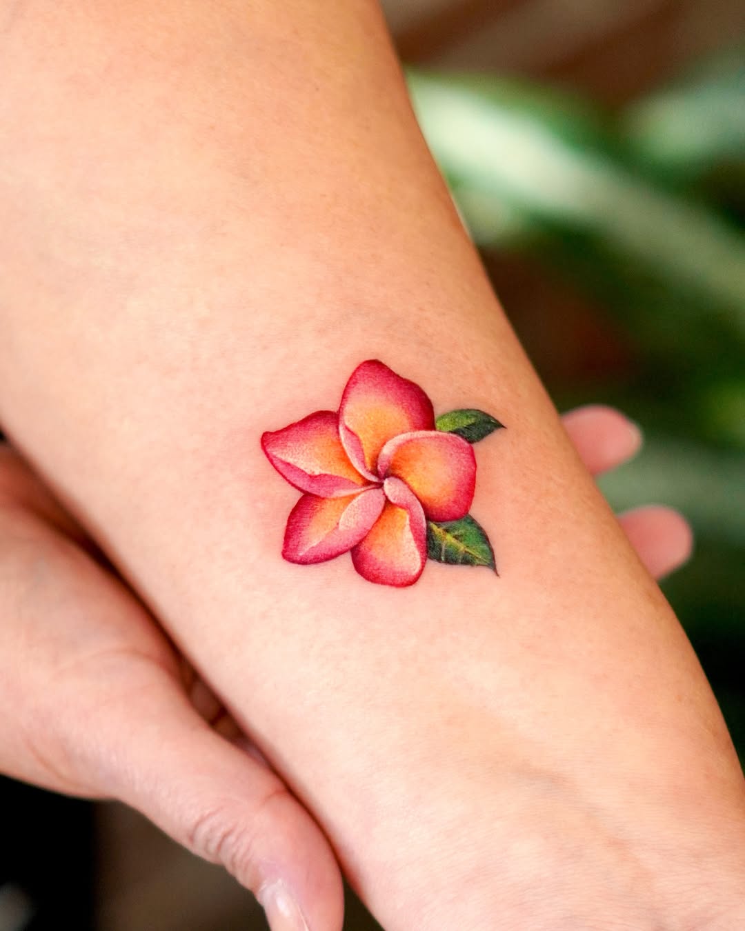 29 Plumeria Tattoo Ideas: From Tiny Florals to Bold Hawaiian Statements