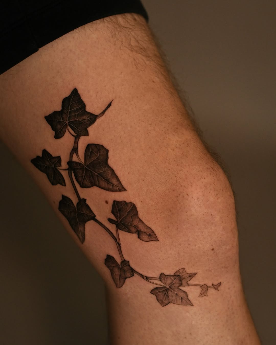 28 Ivy Tattoo Ideas: Elegant Vines, Timeless Meaning, and Modern Style