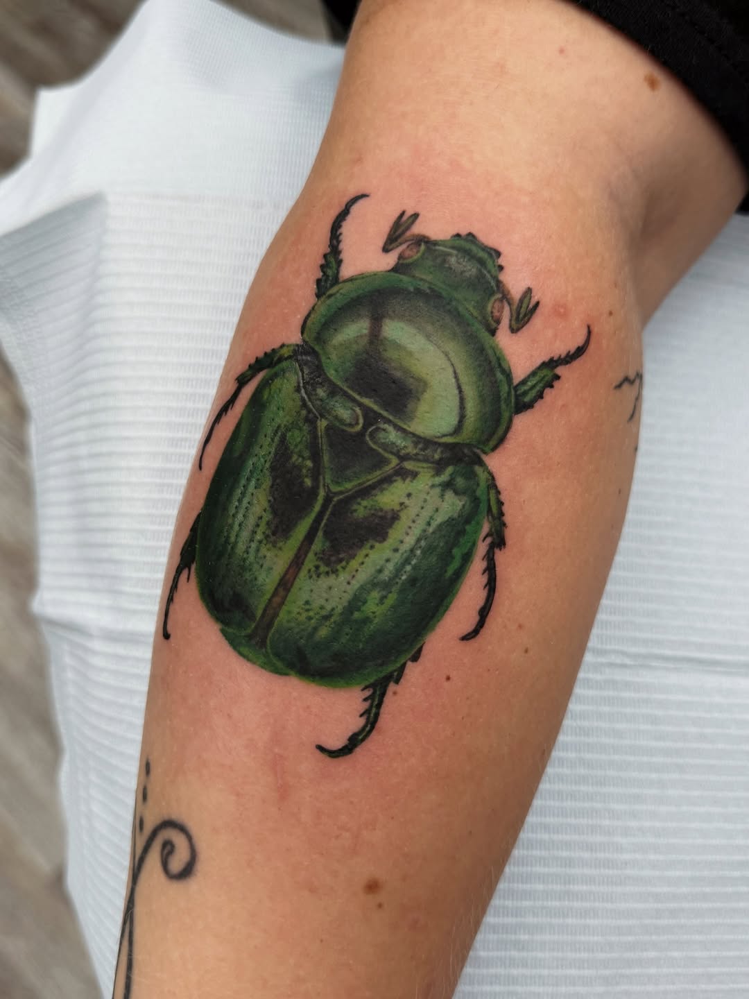 32 Beetle Tattoo Ideas: Symbolism, Style, and the Power of the Insect Motif