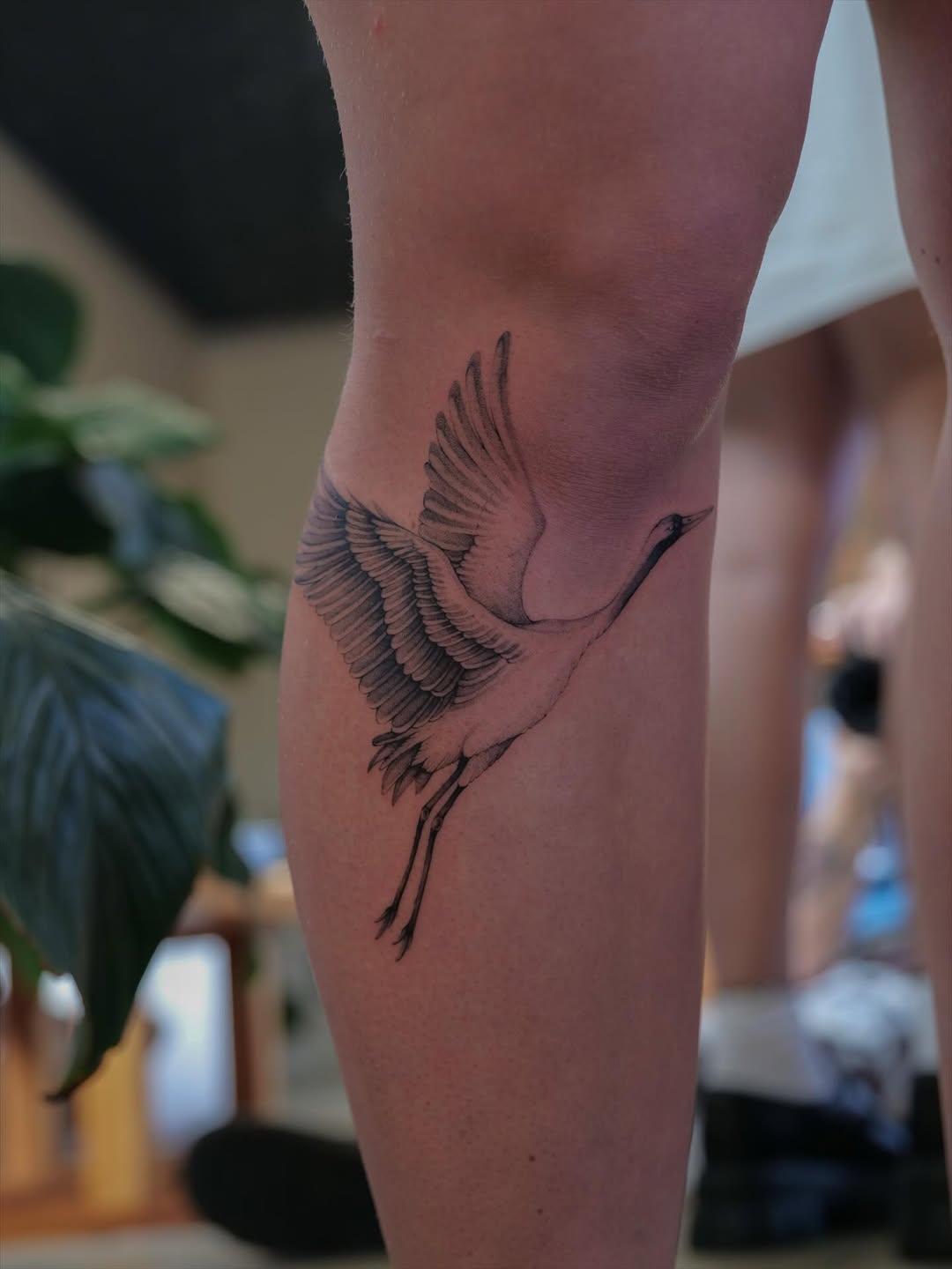 29 Crane Tattoo Ideas: Symbolism, Style, and Modern Interpretations