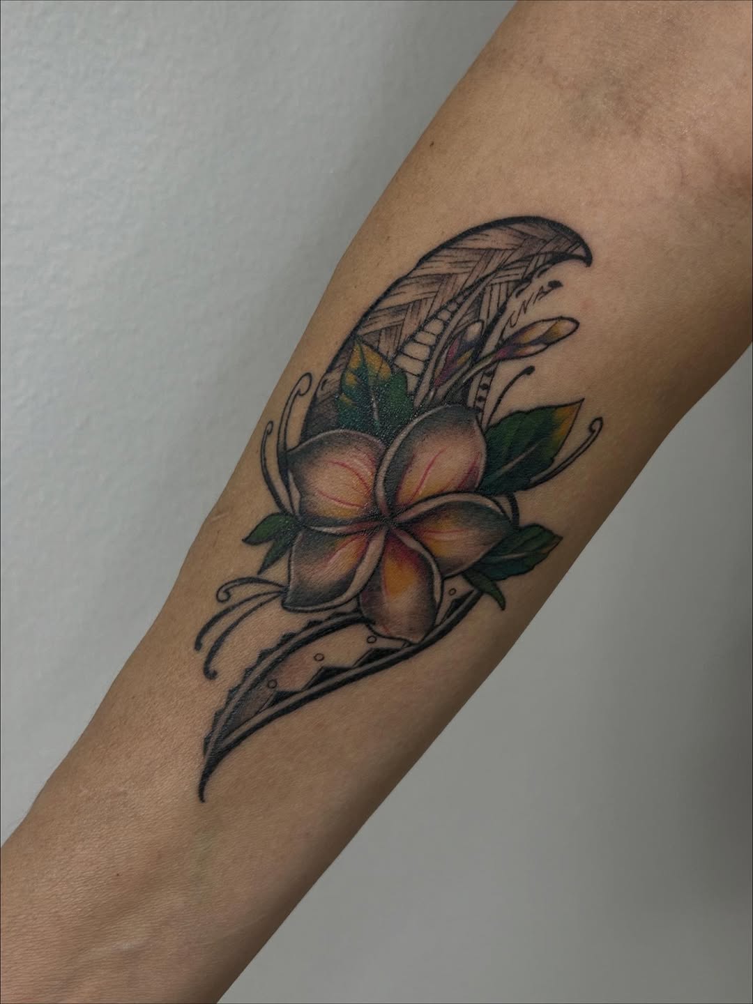 29 Plumeria Tattoo Ideas: From Tiny Florals to Bold Hawaiian Statements