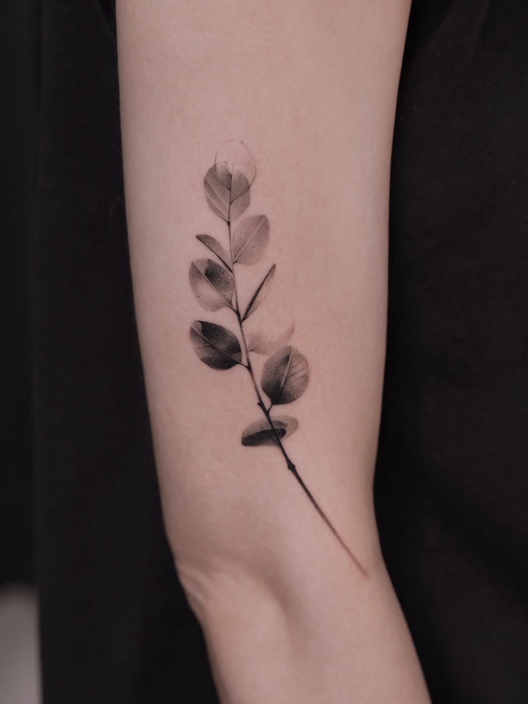 31 Plant Tattoo Ideas: Botanical Ink That Feels Personal, Timeless, and Alive