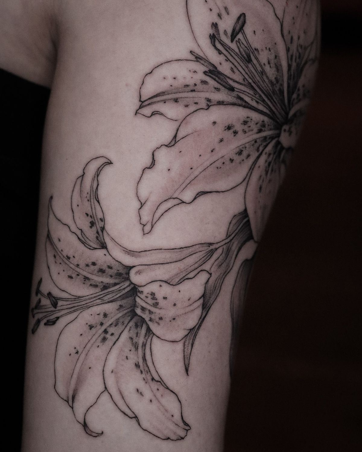 30 Tiger Lily Tattoo Ideas: Bold, Feminine, and Unforgettable Designs