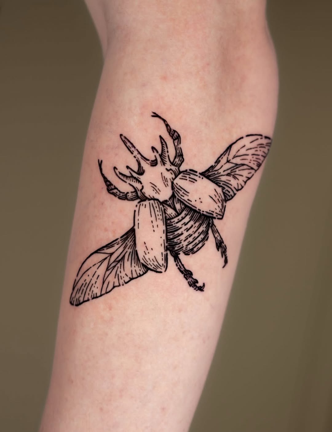 32 Beetle Tattoo Ideas: Symbolism, Style, and the Power of the Insect Motif