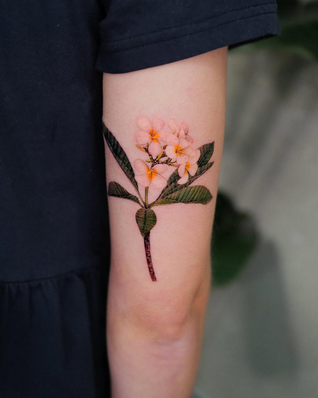 29 Plumeria Tattoo Ideas: From Tiny Florals to Bold Hawaiian Statements
