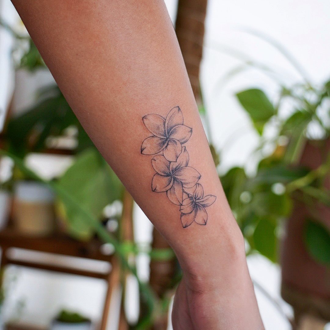 29 Plumeria Tattoo Ideas: From Tiny Florals to Bold Hawaiian Statements