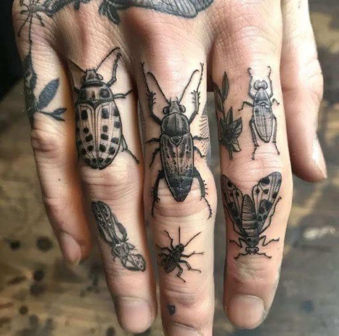 32 Beetle Tattoo Ideas: Symbolism, Style, and the Power of the Insect Motif