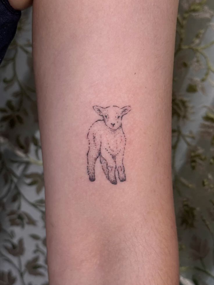 31 Lamb Tattoo Ideas: Gentle Symbolism, Fine Line Art, and Modern Aesthetic Inspiration