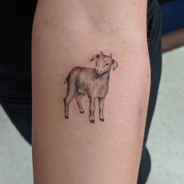 31 Lamb Tattoo Ideas: Gentle Symbolism, Fine Line Art, and Modern Aesthetic Inspiration