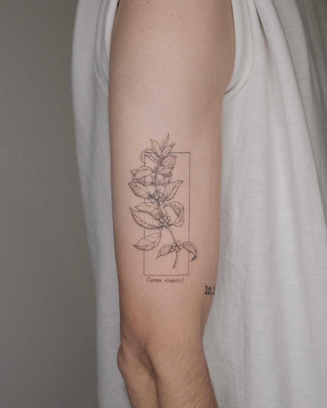 30 Coffee Tattoo Ideas 2026: Minimalist Ink with Personality and Daily Ritual Meaning