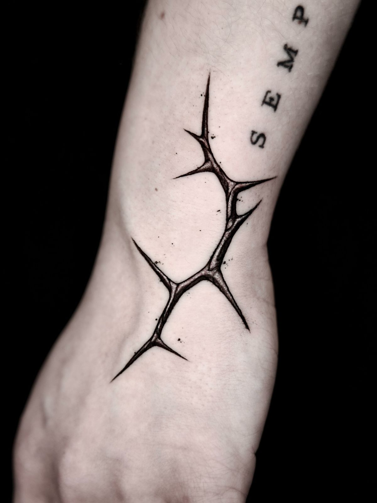 29 Thorn Tattoo Ideas: Bold, Symbolic Designs With Edge