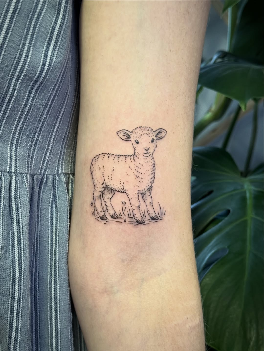 31 Lamb Tattoo Ideas: Gentle Symbolism, Fine Line Art, and Modern Aesthetic Inspiration