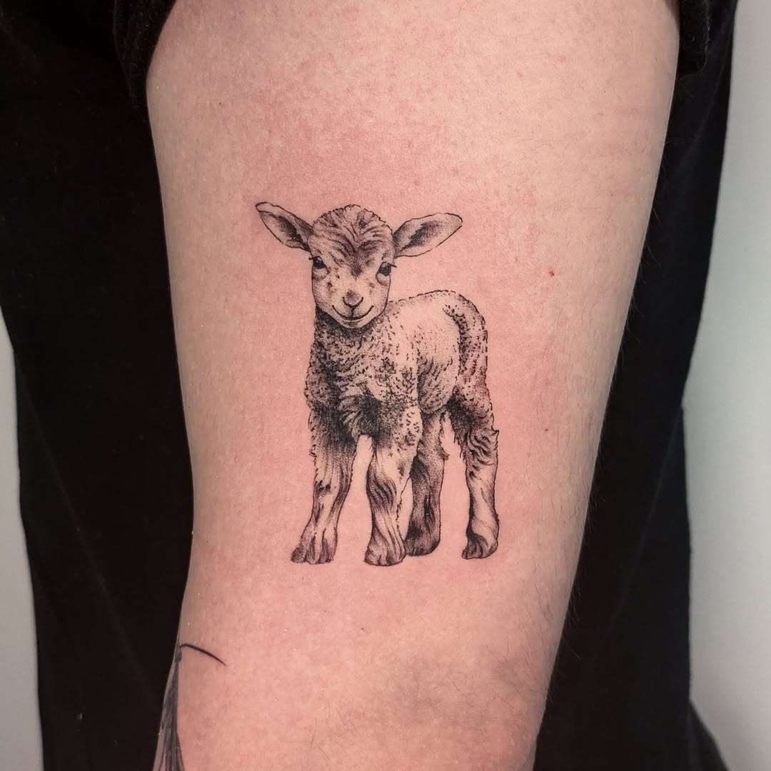 31 Lamb Tattoo Ideas: Gentle Symbolism, Fine Line Art, and Modern Aesthetic Inspiration