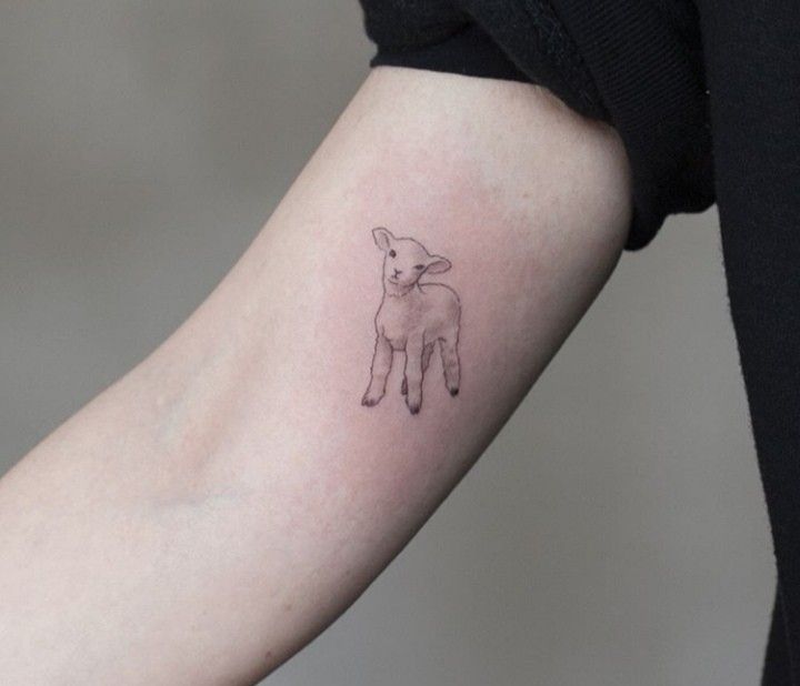 31 Lamb Tattoo Ideas: Gentle Symbolism, Fine Line Art, and Modern Aesthetic Inspiration