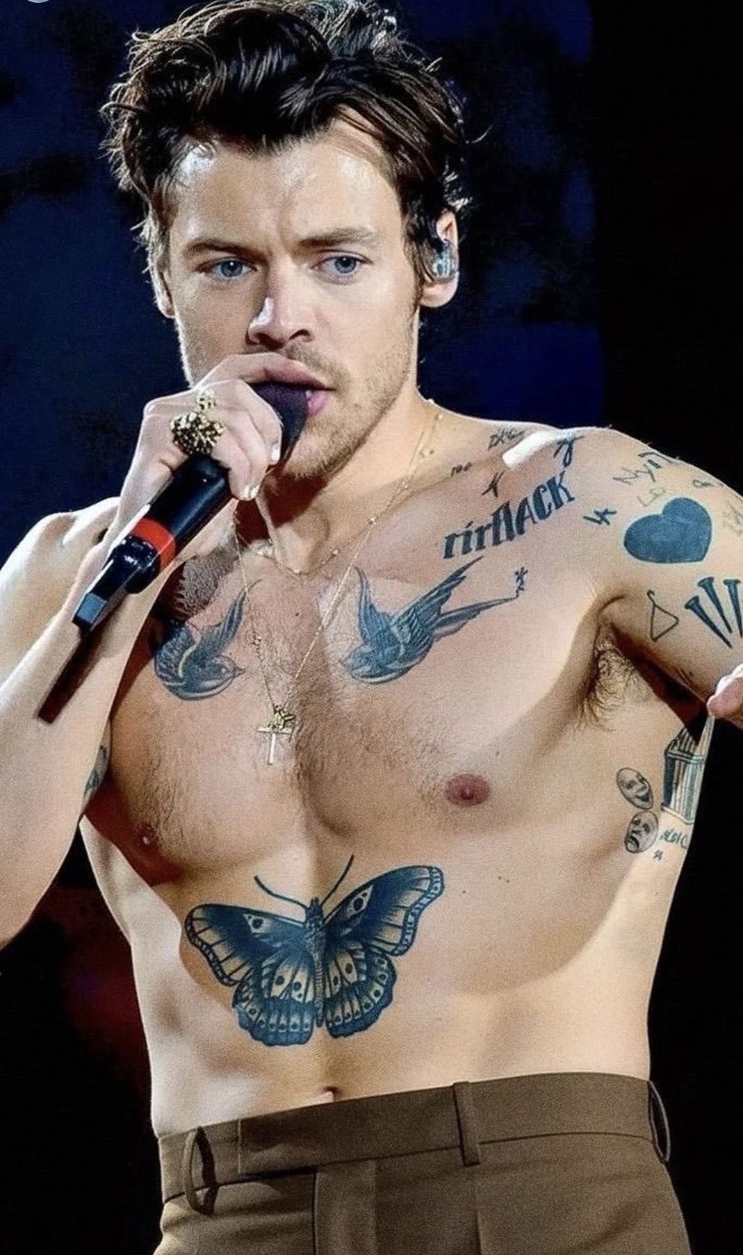 30 Harry Styles Tattoo Ideas 2026: Aesthetic Ink Inspired by His Iconic Style