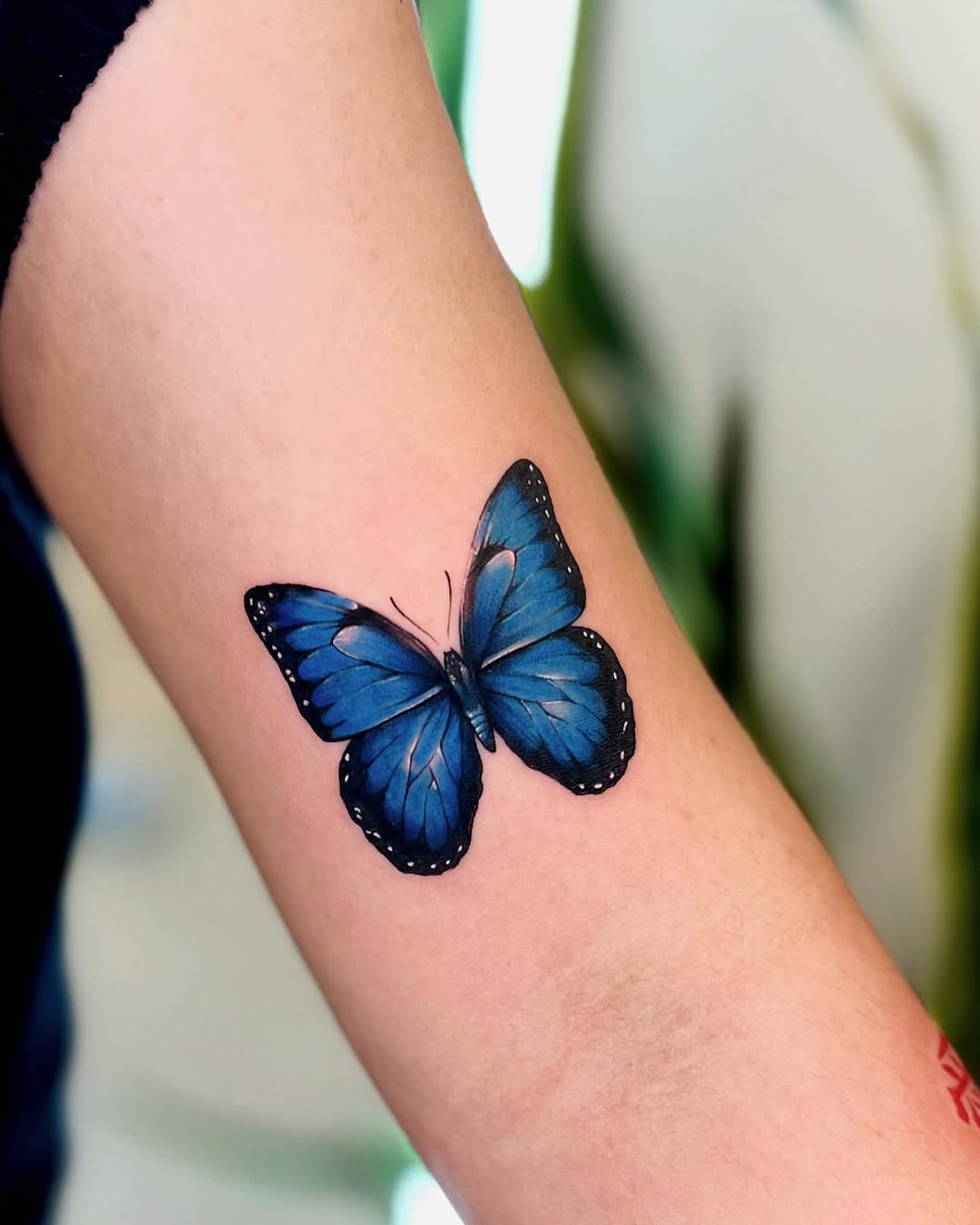 30 Butterfly Tattoo Ideas 2026: Timeless Ink with a Modern Edge