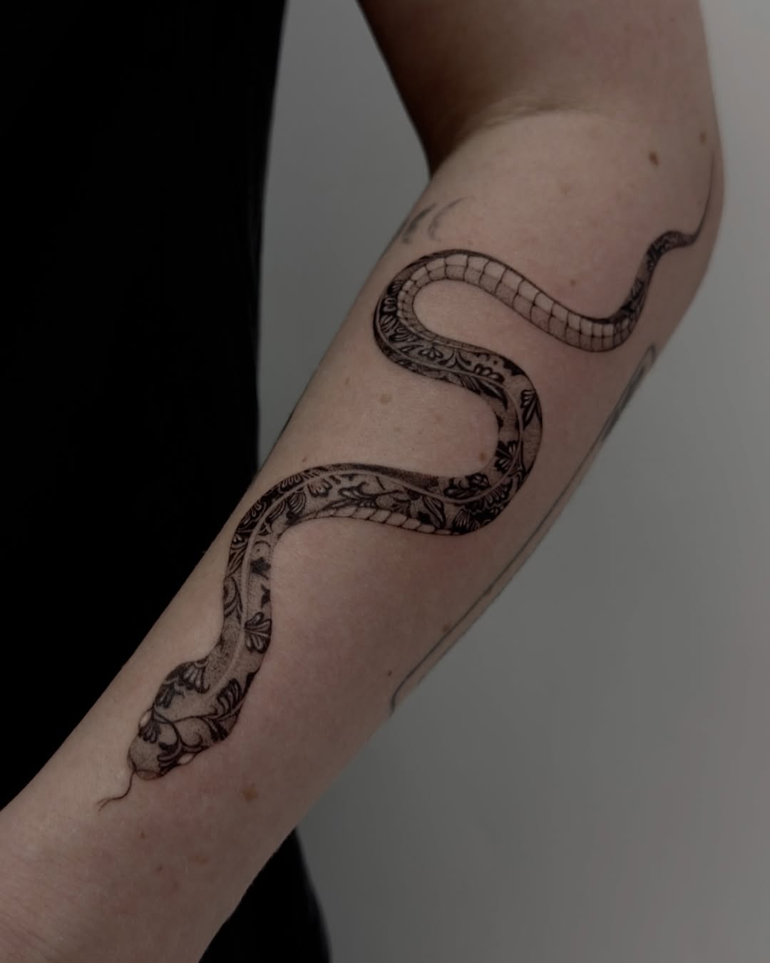 31 Snake Tattoo Ideas 2026: Meaningful Designs for Men and Women on Arm, Back, Spine, and Leg