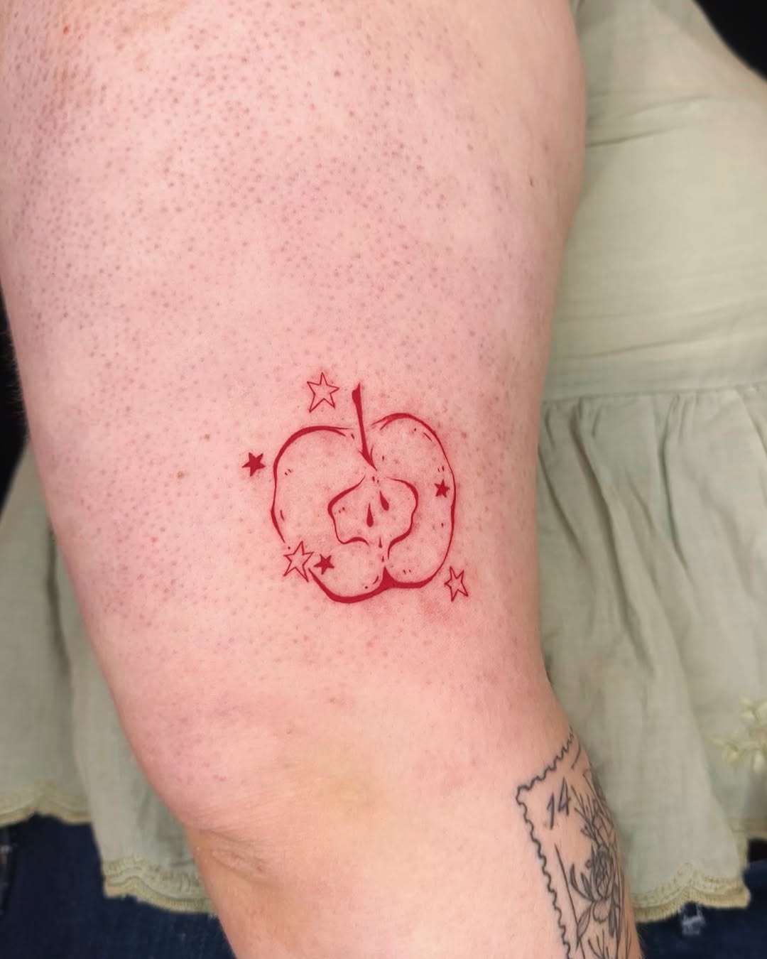 30 Apple Tattoo Ideas 2026: From Minimalist Ink to Story-Driven Designs