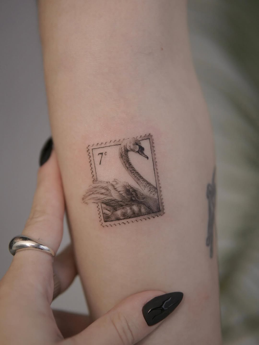 32 Swan Tattoo Ideas 2026: Elegant, Minimalist & Meaningful Designs to Inspire You