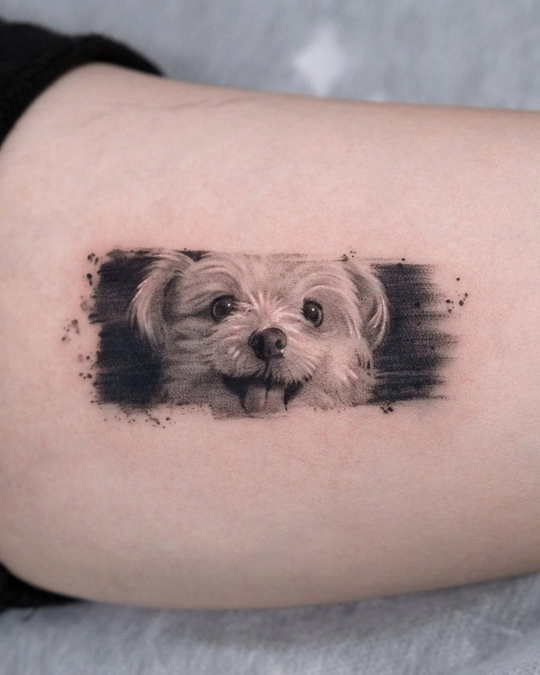 29 Animal Tattoo Ideas 2026: From Fine Line Elegance to Bold Symbolism