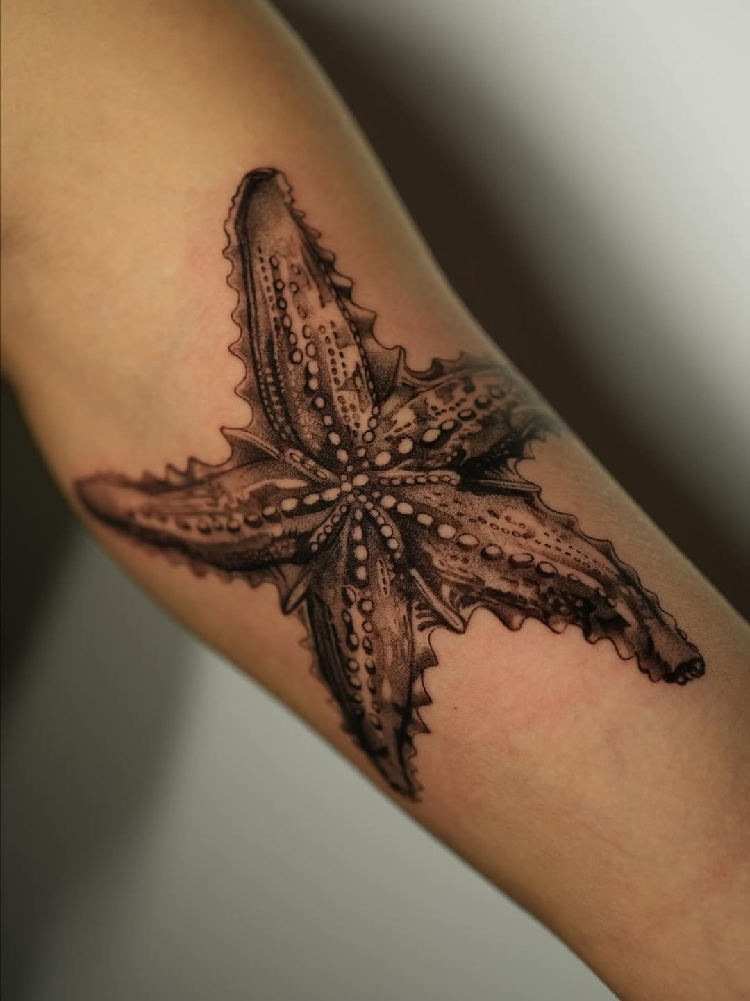 33 Starfish Tattoo Ideas 2026: Ocean-Inspired Ink That Feels Personal