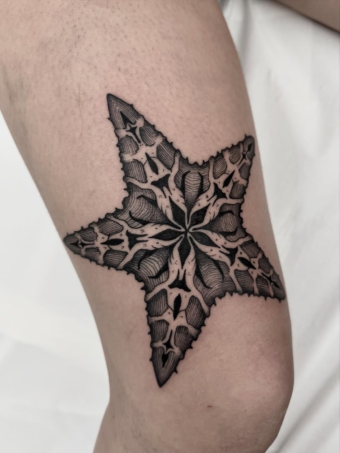 33 Starfish Tattoo Ideas 2026: Ocean-Inspired Ink That Feels Personal