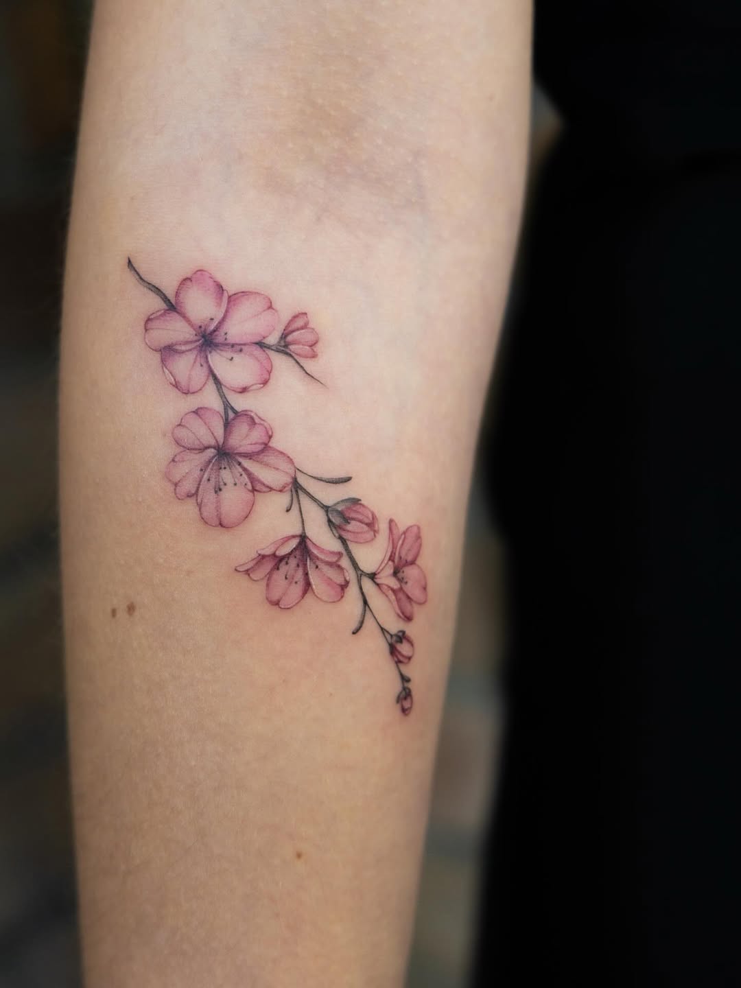 27 Cherry Blossom Tattoo Ideas 2026: Timeless Japanese Elegance Reimagined