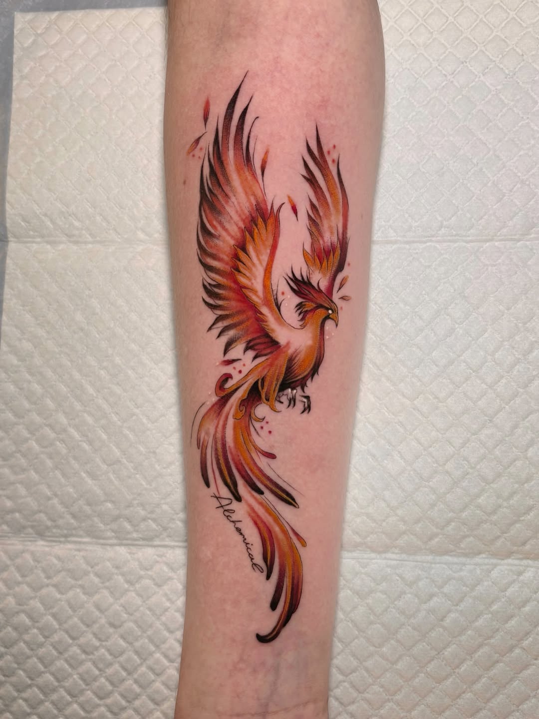 30 Phoenix Tattoo Ideas 2026: Bold, Feminine & Symbolic Designs That Rise Above Trends