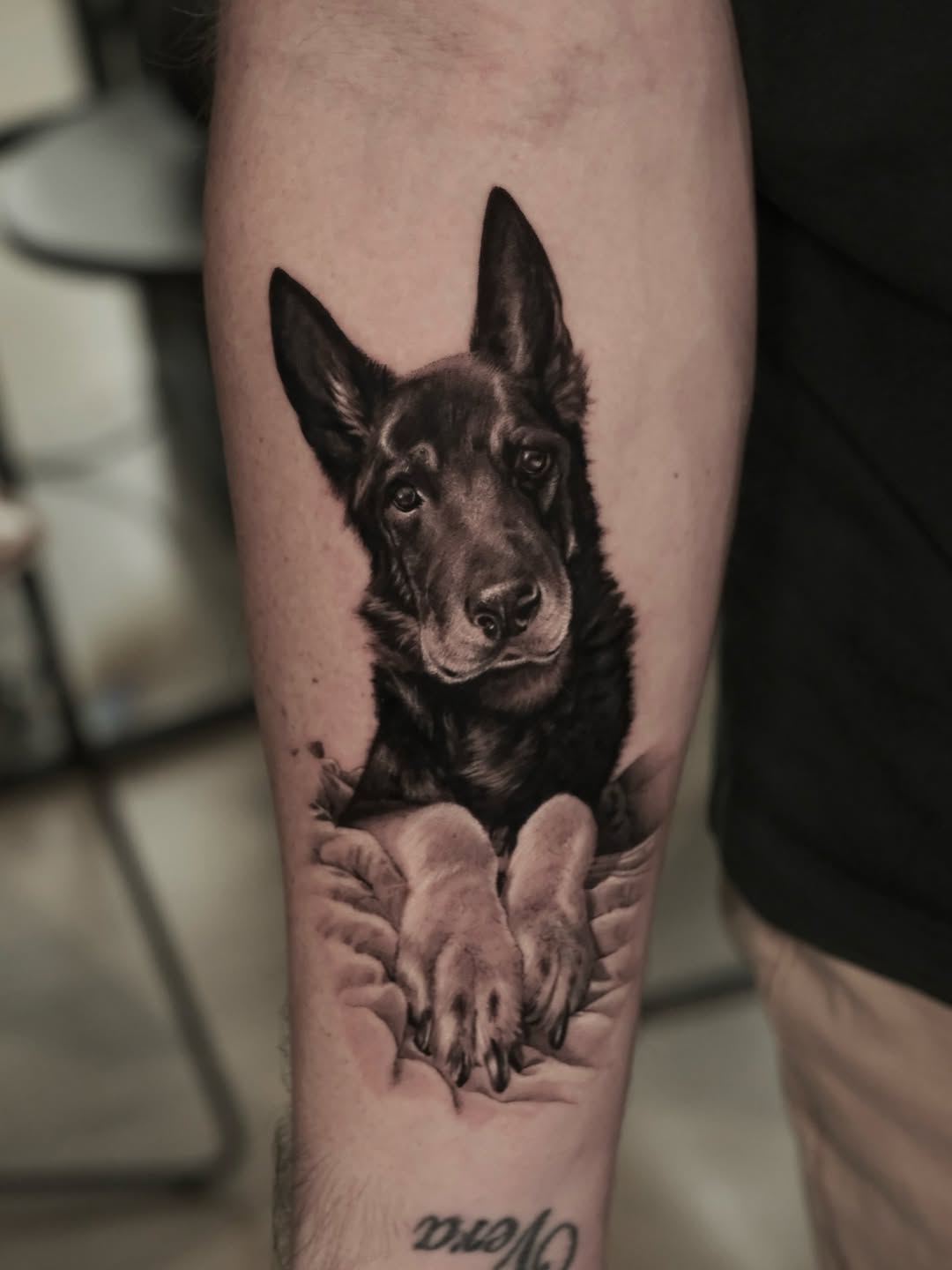 29 Animal Tattoo Ideas 2026: From Fine Line Elegance to Bold Symbolism