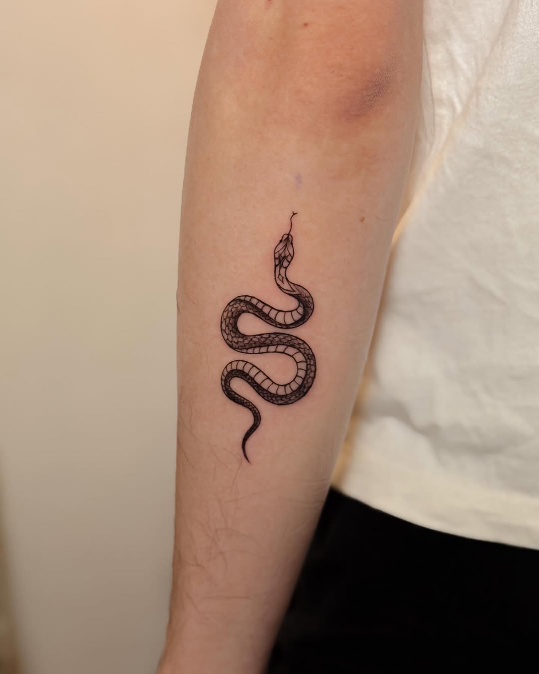 31 Snake Tattoo Ideas 2026: Meaningful Designs for Men and Women on Arm, Back, Spine, and Leg