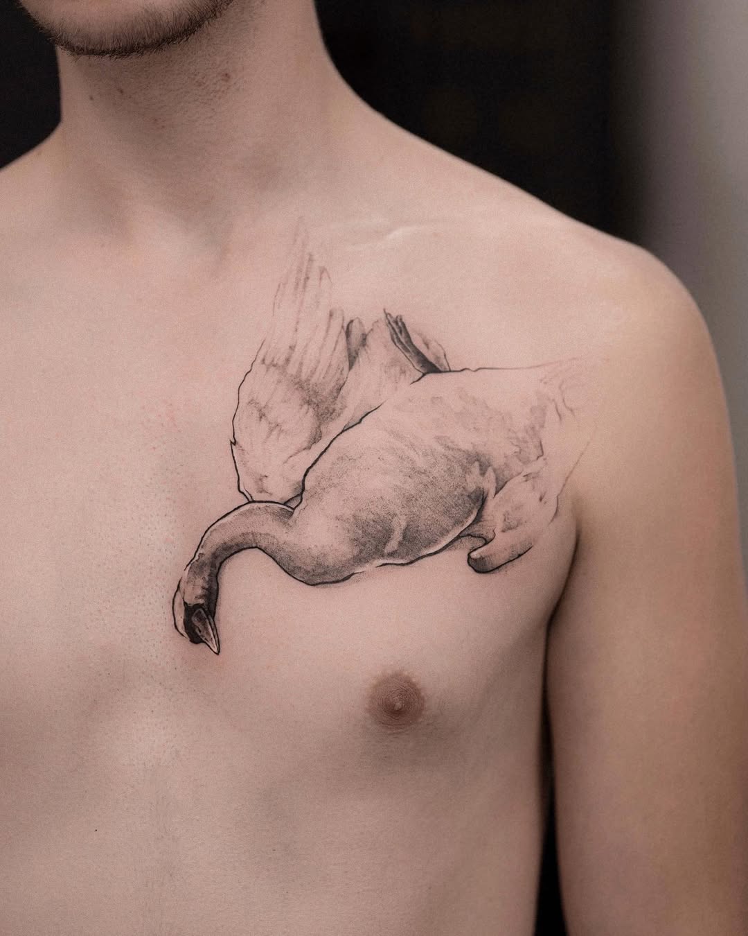 32 Swan Tattoo Ideas 2026: Elegant, Minimalist & Meaningful Designs to Inspire You