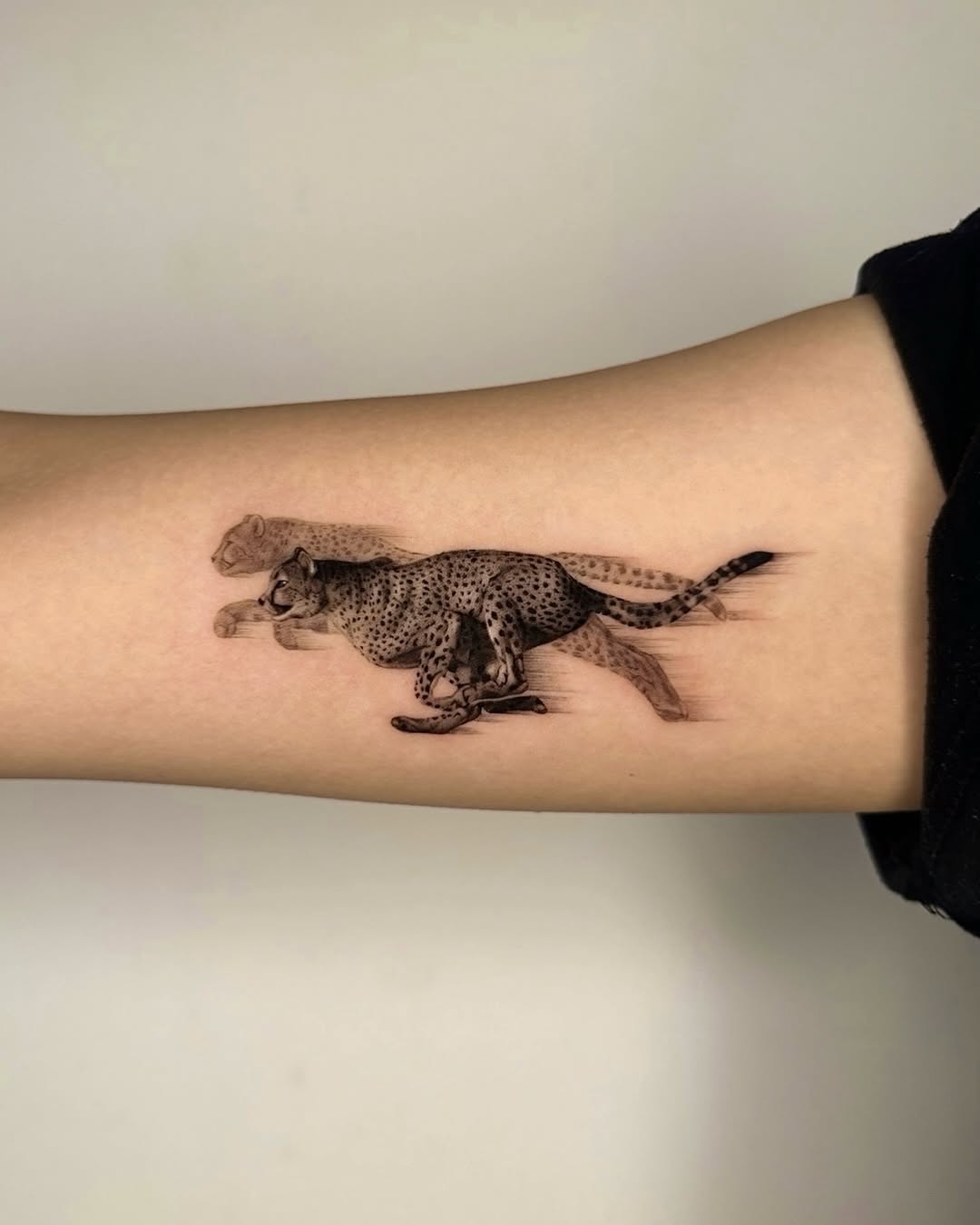 29 Animal Tattoo Ideas 2026: From Fine Line Elegance to Bold Symbolism