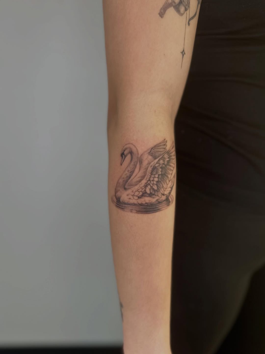 32 Swan Tattoo Ideas 2026: Elegant, Minimalist & Meaningful Designs to Inspire You