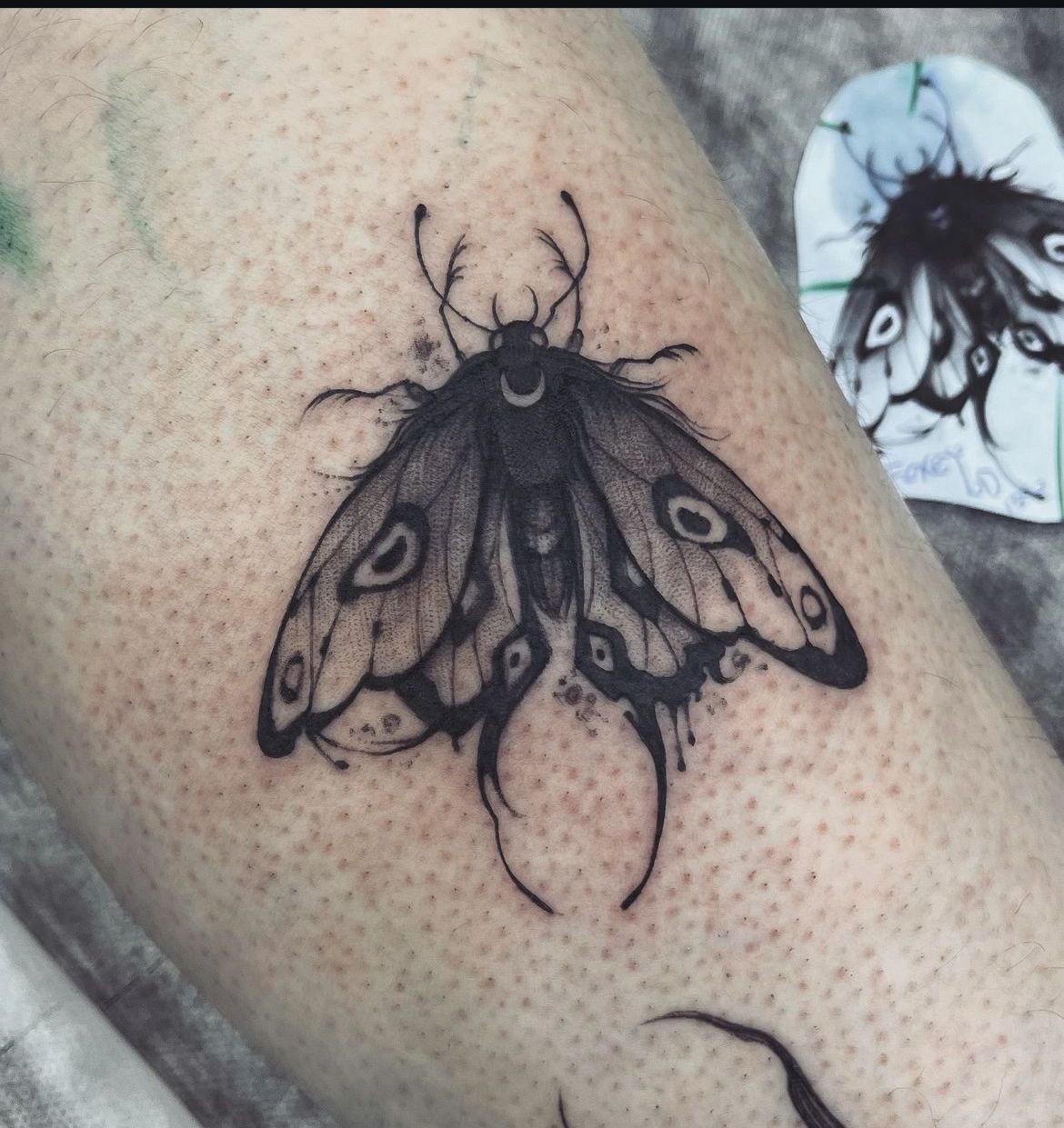30 Moth Tattoo Ideas 2026: Dark Beauty, Lunar Symbolism & Modern Ink Trends