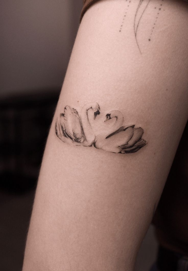 32 Swan Tattoo Ideas 2026: Elegant, Minimalist & Meaningful Designs to Inspire You