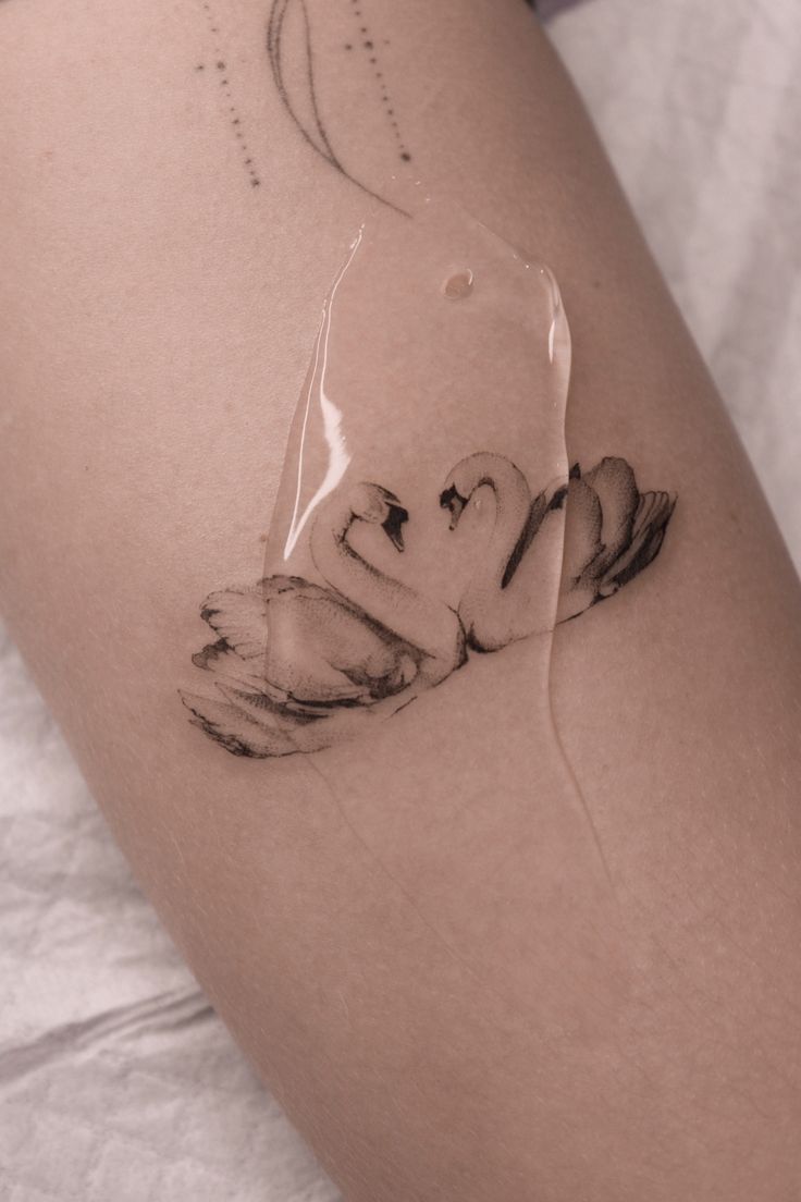 32 Swan Tattoo Ideas 2026: Elegant, Minimalist & Meaningful Designs to Inspire You