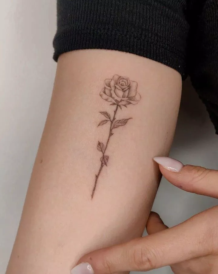 29 Rose Tattoo Ideas 2026: Fine Line, Realistic & Sleeve Designs for Every Style