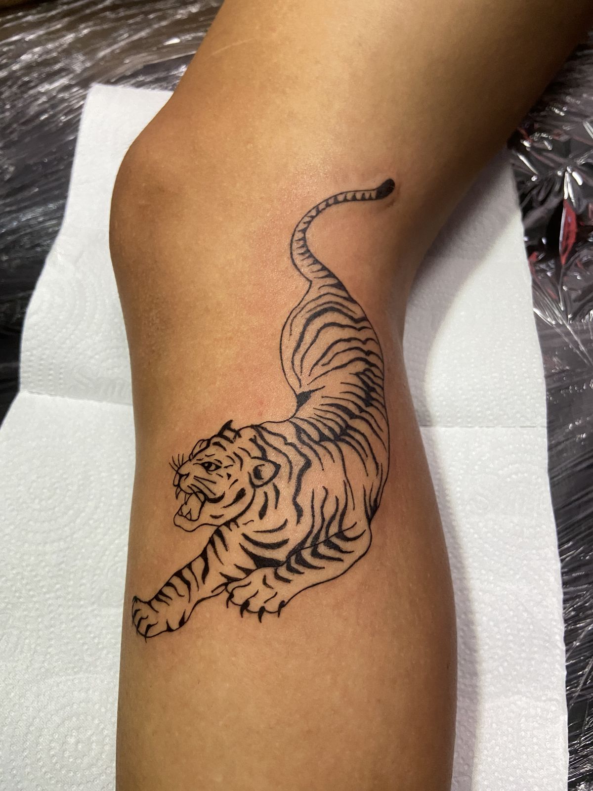 30 Tiger Tattoo Ideas 2026: Powerful Designs That Blend Strength, Art, and Personality