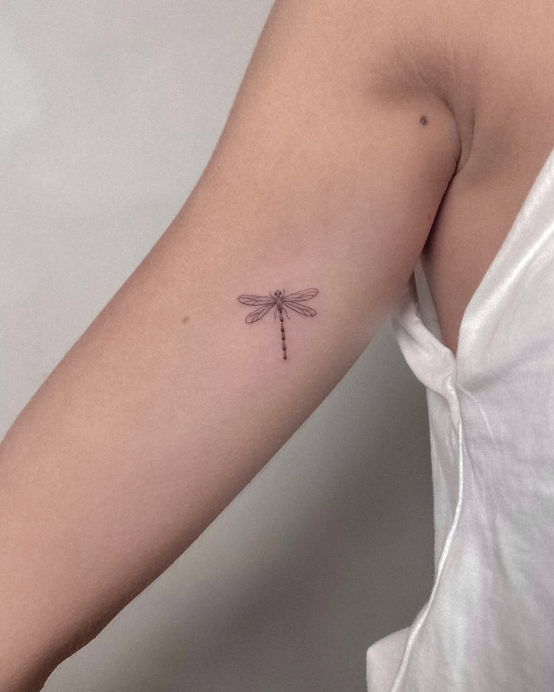 31 Dragonfly Tattoo Ideas 2026: Elegant Fine Line Designs, Tiny Tattoos & Feminine Ink Inspiration