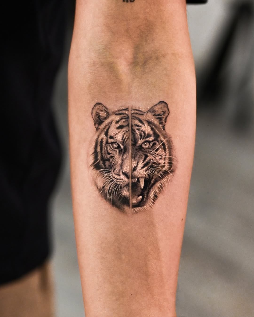30 Tiger Tattoo Ideas 2026: Powerful Designs That Blend Strength, Art, and Personality
