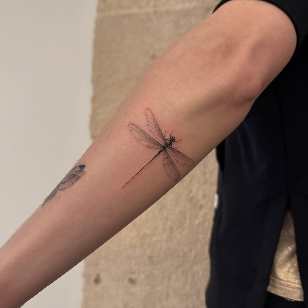 31 Dragonfly Tattoo Ideas 2026: Elegant Fine Line Designs, Tiny Tattoos & Feminine Ink Inspiration