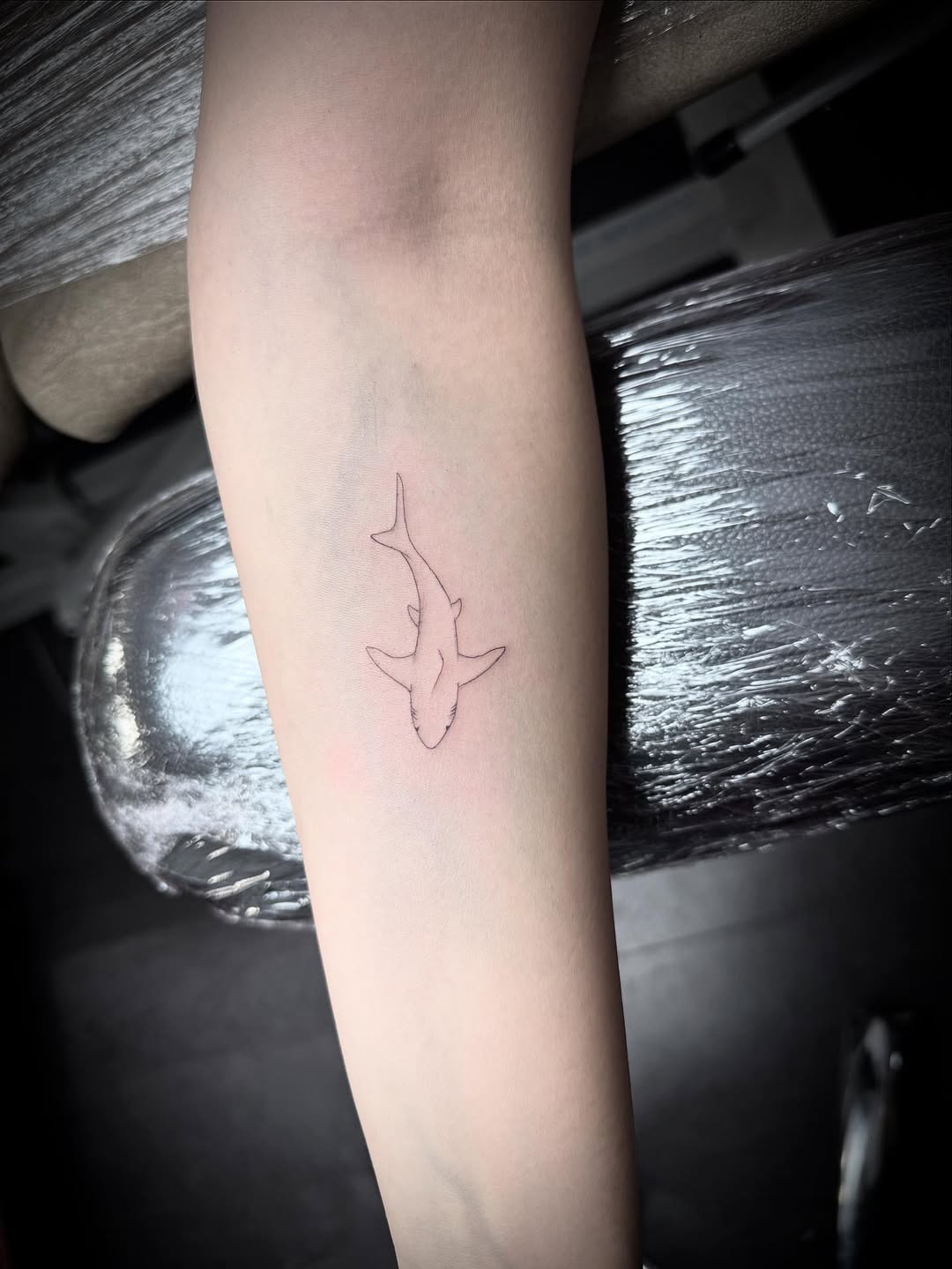29 Shark Tattoo Ideas 2026: Bold Ocean Ink Trends That Are Taking Over